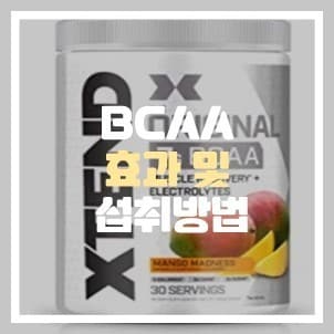 bcaa 효과 및 섭취방법 [2022]
